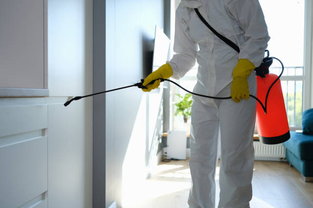 Mold Removal Process in Rensselaer, NY